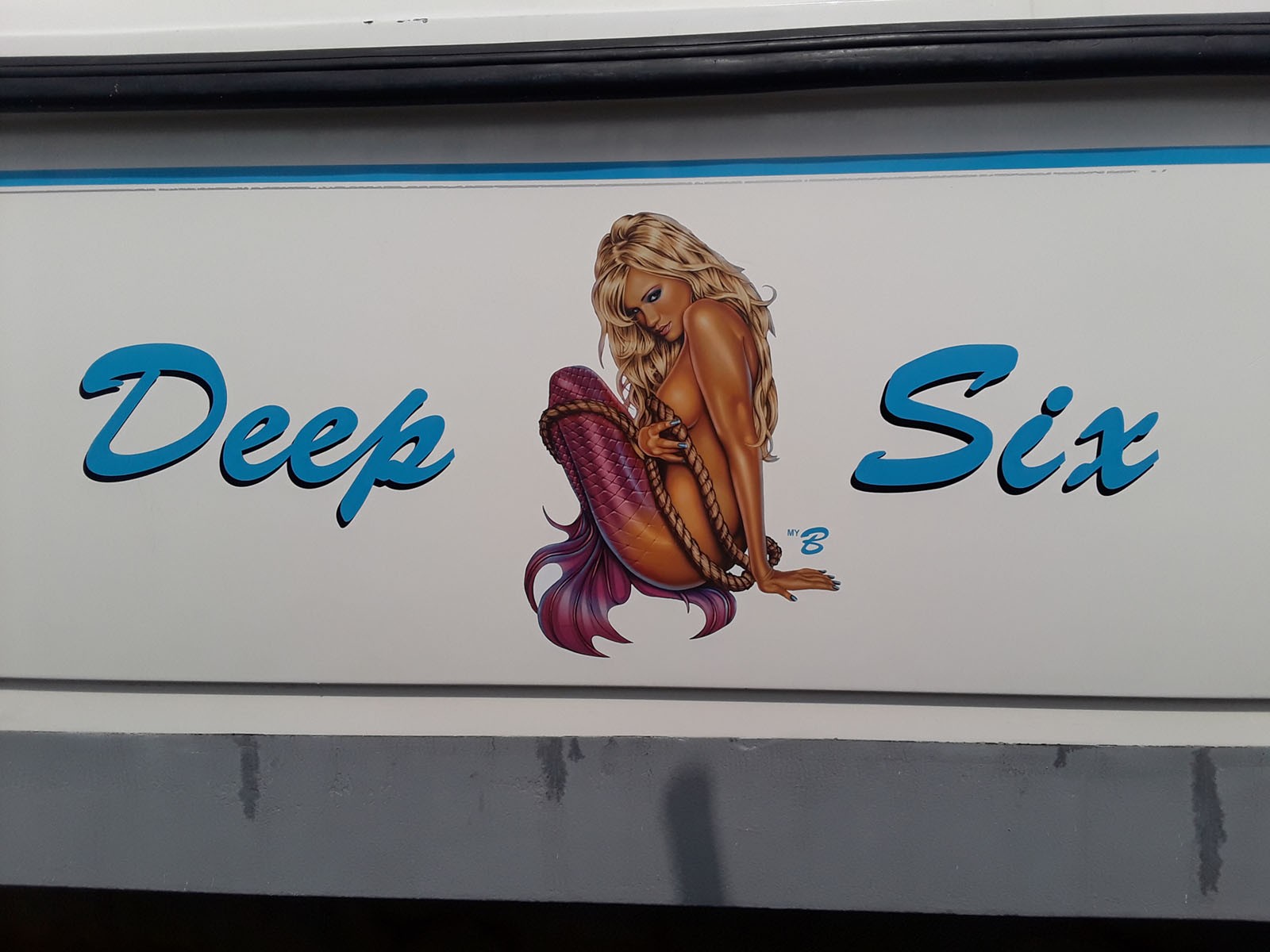 Vinyl Name and Color Graphic